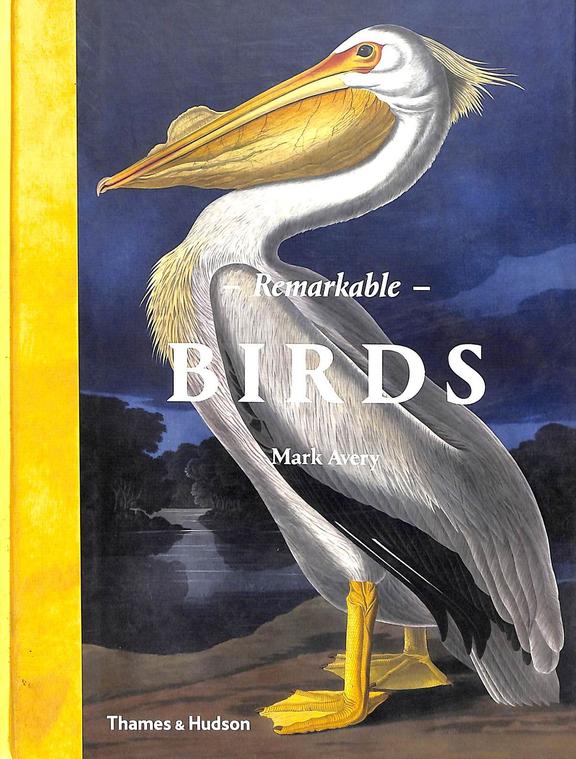 Remarkable Birds