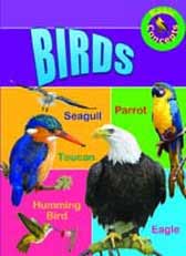 Birds : Basic Concepts